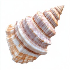 Obraz premium Beautiful Sea Shell with Unique Stripes and Swirls in Soft Colors