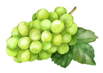 シャインマスカット　葉付き
