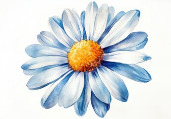 Beautiful Blue and White Flower with Yellow Center in Watercolor Style
