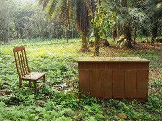 Abandoned wooden desk and chair in the forest of Cuc Phuong National Park, Vietnam, creating a surreal and mysterious outdoor scene in nature.