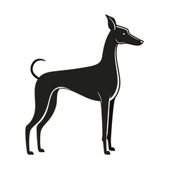 Elegant Black Greyhound Silhouette