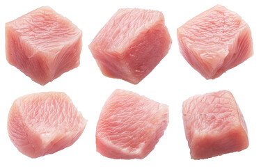Set of different raw turkey meat pieces isolated on white. File contains clipping paths.