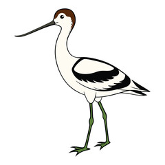 Elegant Black and White Bird Silhouette Illustration