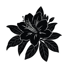 Black and White Illustration of an Azalea Flower with Leaves and Buds