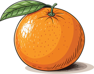 Orange in white background vector design, Orange Illustration vector design