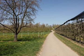 Fr&uuml;hling im Garten und in der Natur