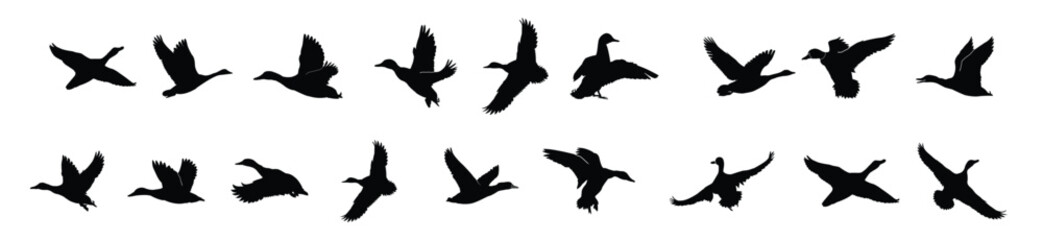 Hand drawing animal silhouettes set design