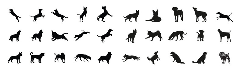 Set of  dog, Vector illustration