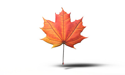 Leaf maple red orange brown object plant tree autumn nature season yellow design foliage sign symbol decoration canada day 1 st first date july month happy independence day freedom politic beautiful 