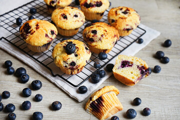 Close-up of vanilla muffins with blueberries on metal mesh tray and cotton towel near blueberries on grey background