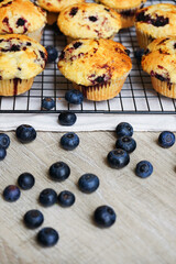 Close-up of vanilla muffins with blueberries on metal mesh tray and cotton towel near blueberries...