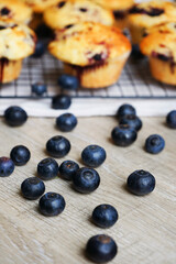 Blueberries close-up on blueberry muffins background