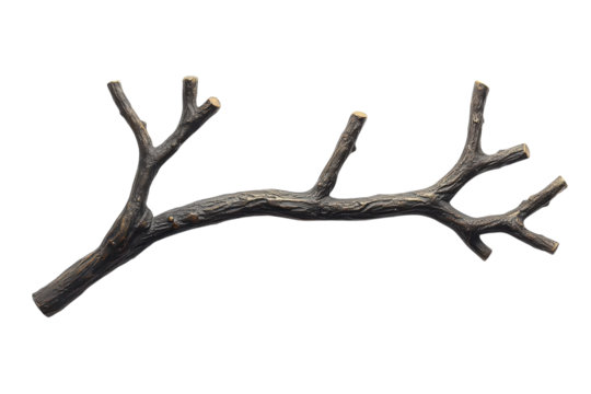 Elegant bronze branch wall decor nature inspired home accent minimalist on transparent background