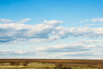Fototapeta premium A country landscape, a stork soaring in the blue sky over the steppe on a sunny day.