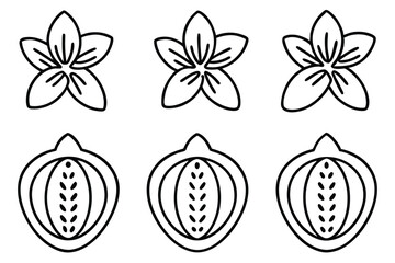 kaffir line art exotic leaves nature inspired print