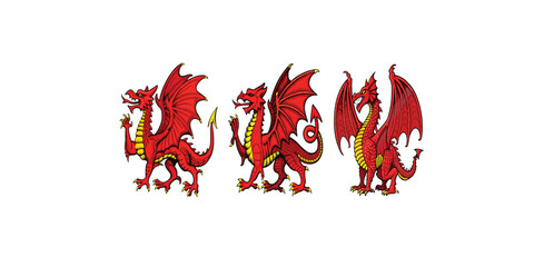 Print  Red welsh dragon vector design. Welsh dragon design.