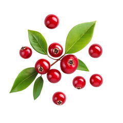 Buffaloberry with half slices with leaves png