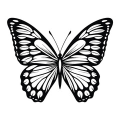 Butterfly Black & White Silhouette, Detailed Wings, Isolated on White