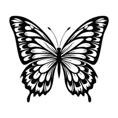 Butterfly Silhouette Isolated on White. Monochrome Insect with Detailed Wing Pattern