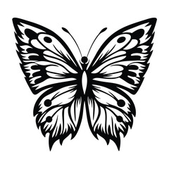 Black and White Butterfly with Intricate Wing Pattern, Isolated on White Background