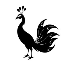 Fototapeta premium peacock vector illustration