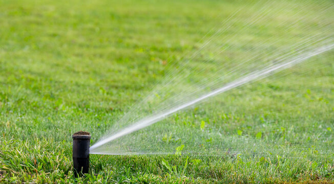 lawn sprinkler watering green lawn. close-up photo