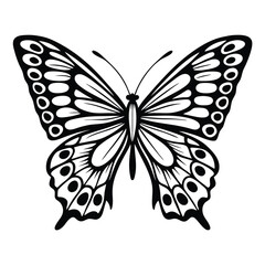 Symmetric Butterfly with Intricate Wing Patterns, Monochrome, Black and White Design
