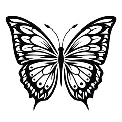 Butterfly Detailed Black and White Silhouette Style with Intricate Wing Pattern