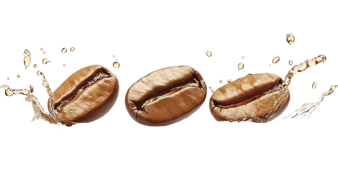 Explosion splash of ground coffee on a transparent background