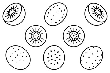 kiwi berry line art elegant tropical fruit drawing