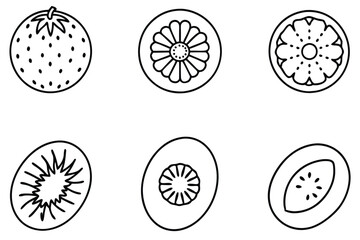 kiwifruit line art simple elegant drawing for nature decor
