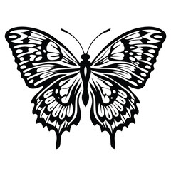 Butterfly Silhouette with Intricate Wing Patterns in Black and White, Insect Outline