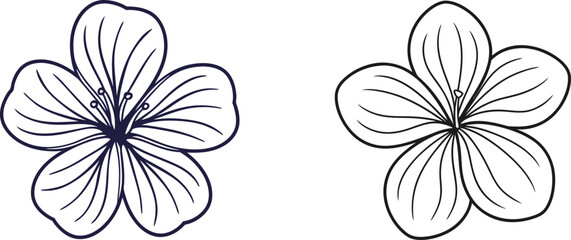 Minimalist Floral Design With Outline Of Two Five Petal Flowers