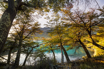 Fototapete bei efototapeten.de bestellen   