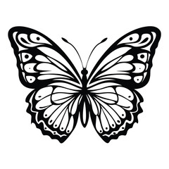 Striking Black and White Butterfly with Intricate Wing Patterns, Isolated on White