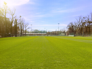 Obraz premium Grass on a football stadium on a sunny summer day.
