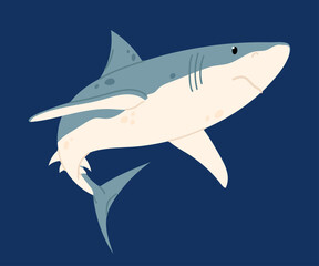 Shark. Marine animal. Predatory fish. Flat illustration of the dangerous shark.