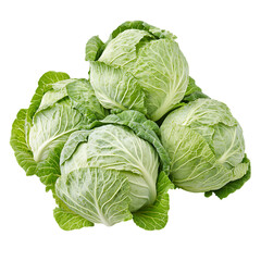 Fototapeta premium Cabbage pile png