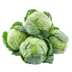 Obraz premium Cabbage pile png