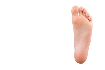 foot isolated on white background. sole of the foot on white.