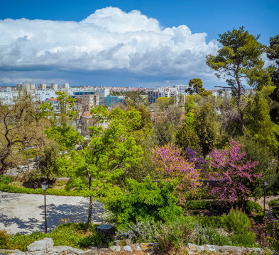 Queen Jelena Madijevka Park, Zadar, Croatia: Cityscape view from a lush park under cloudy skies
