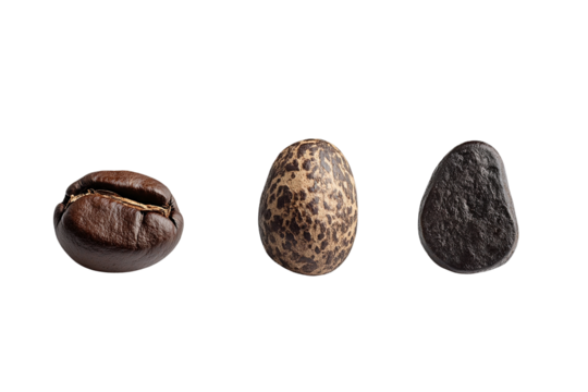 Coffee roasted bean ground fly explosion, Coffee crushed ground float pouring mix with beans. Roasted Coffee bean powder ground dust splash explosion in mid Air. Black background Isolated gold bokeh