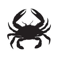 Striking Black Silhouette of a Crab. Crab silhouette black white vector illustration on white background