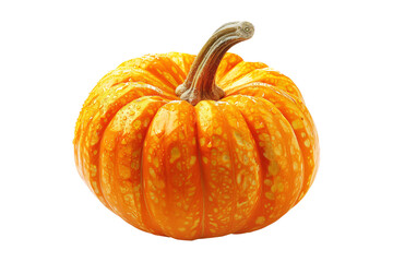 Obraz premium Lumina pumpkin with a green and cut slice stem isolated on white transparent background, great for autumn themes and decorations