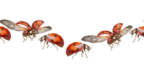 Red ladybugs seamless border watercolor illustration. Red insects with black dots for children's parties, packaging, children's interior and clothing, dishes.