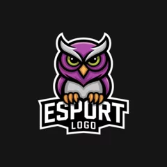 Fotobehang Cool owl mascot logo for esports team. Game avatar with angry expression. © Dionysius