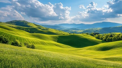 Fototapeta premium A serene landscape of rolling hills and lush green fields under a vibrant sky.