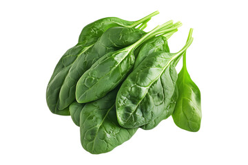 Obraz premium Vibrant baby spinach leaves isolated on white transparent background. Perfect for culinary uses