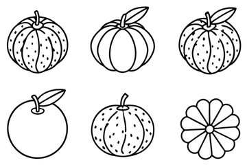 mandarine line art simple and sophisticated vector artwork