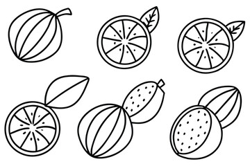 maracuja line art tropical fruit vibrant design details
